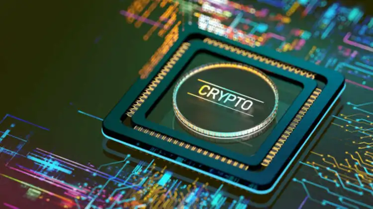 Crypto data business